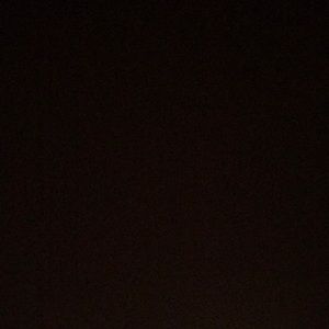 Meet your Posher, Frankie